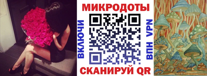 это наркотические препараты  Краснообск  Галлюциногенные грибы Psilocybe 